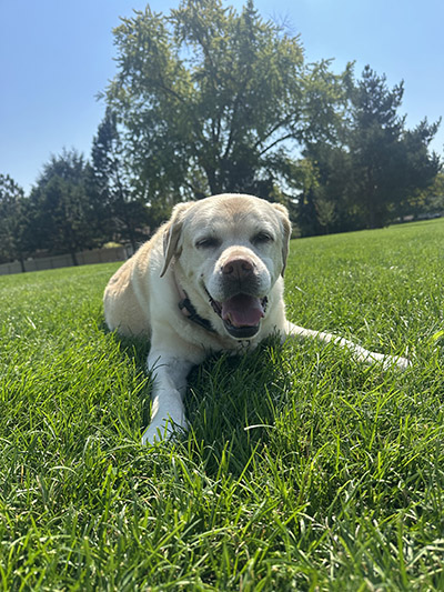 Kristyn Davis's Dog, Melody